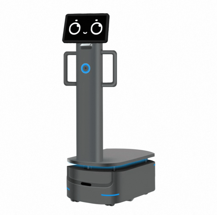 Robot met zware lading voor industriële levering